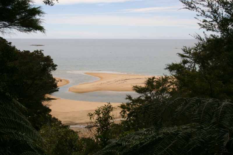 Nieuw-Zeeland 2011 - 1013
